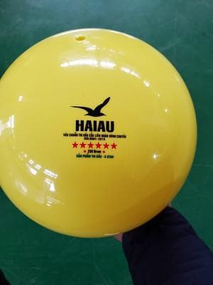 BÓNG CHUYỀN HƠI HẢI ÂU 6 SAO VÀNG 250G