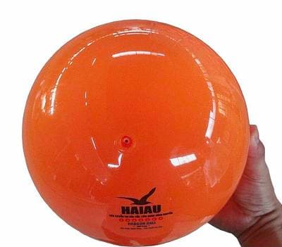 BÓNG CHUYỀN HƠI HẢI ÂU DRAGON CAM 250G