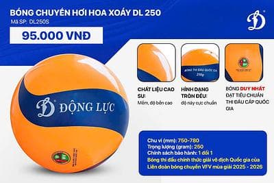 BÓNG CHUYỀN HƠI HOA XOÁY DL 250S