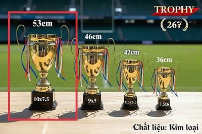 Cup VT2067 Vàng 53cm