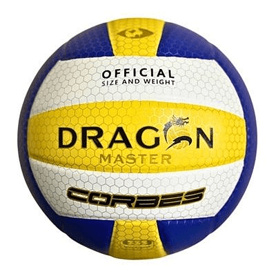 Bóng chuyền Thăng Long DG6900